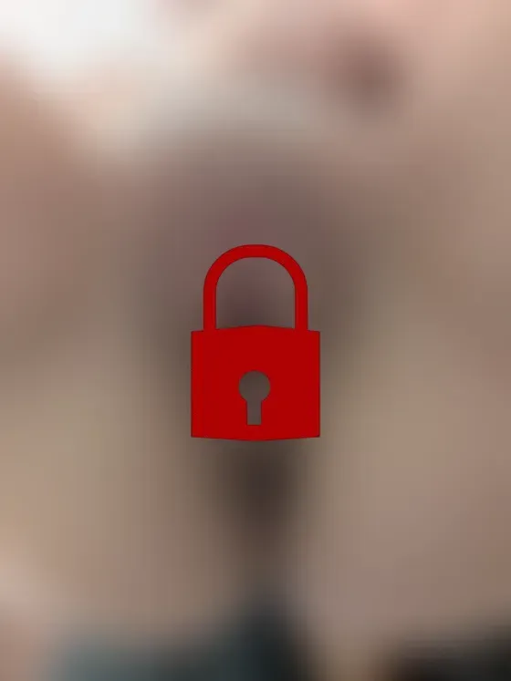 Pussy Closeup