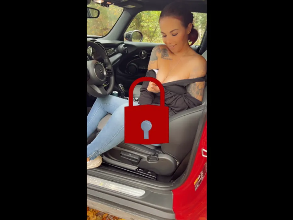 Im Auto die Titten ausgepackt !!