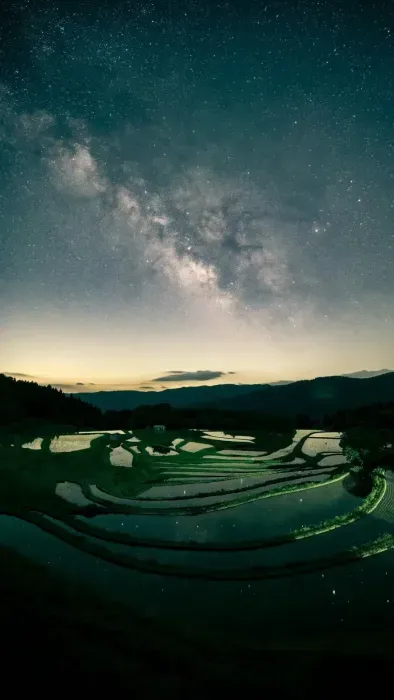 Trailer_DeletedByOwner_Frontend