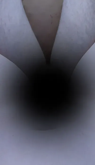 Harter Schwanz geil geritten 