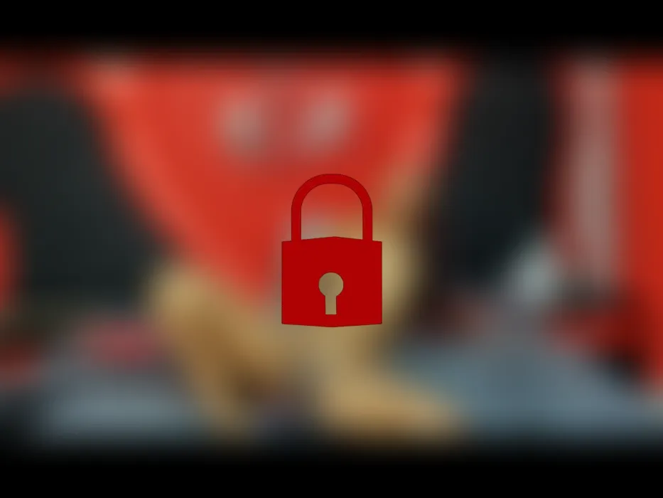 VIBRATIONEN MACHEN MICH NASS