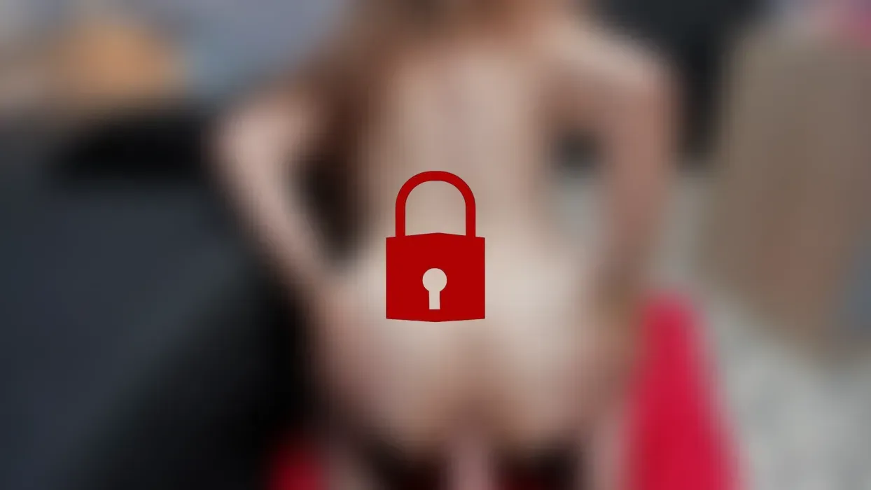 Fuck my big ass with your cock, you make me scream with pleasure!🚨🔥