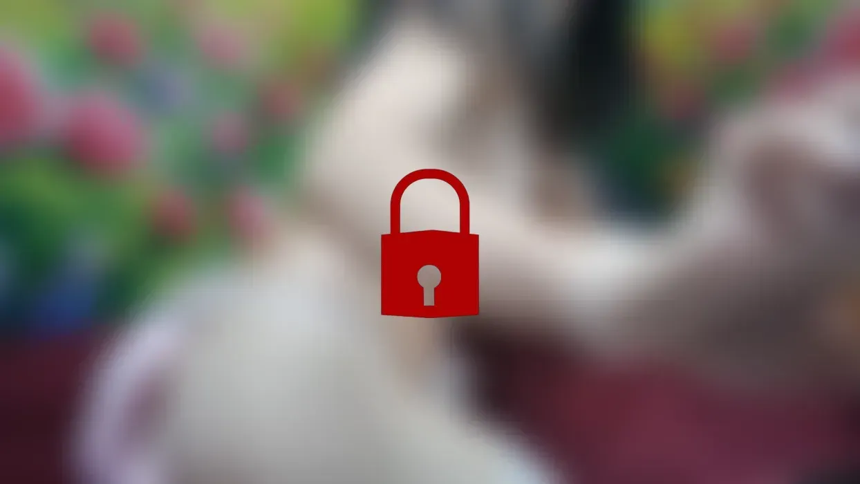 fox tie beautifull video sexy girl cosplay