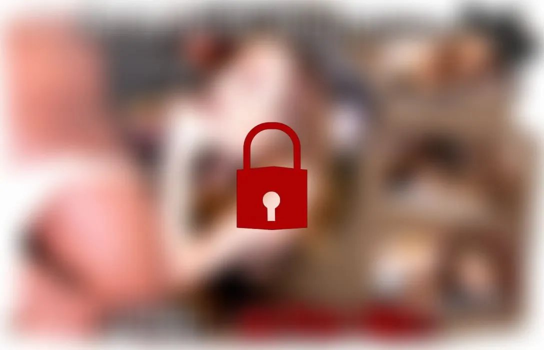 Interrassische Zerstörung - Level: Alpha Bull