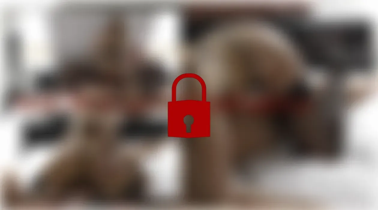 Harter Ritt bis zum CreampieOrgasmus