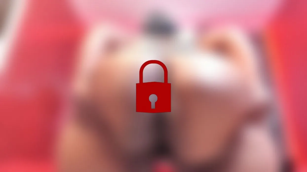 Pov pussy + asshole 🥵🔥