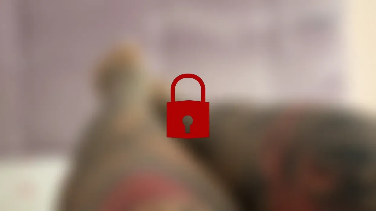 WIXX COUNTDOWN AUF MEINE GEILEN FÜSSCHEN!