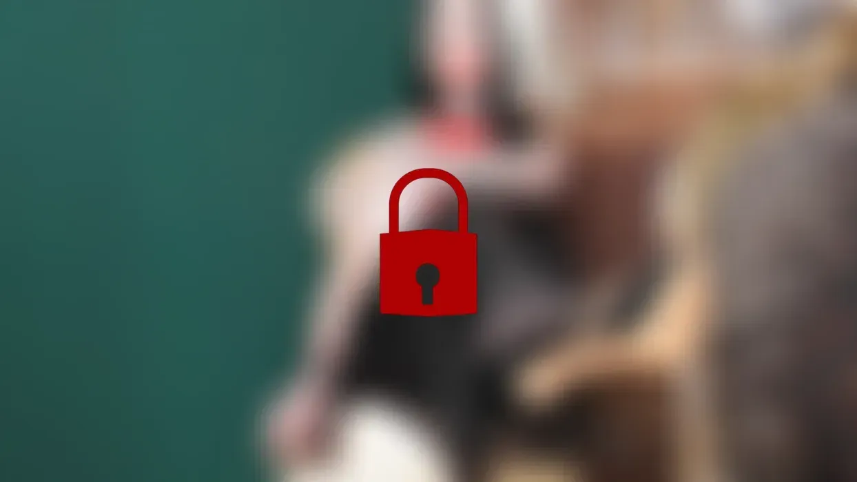 Mit brainfog durch's Wichslabyrinth (PP)