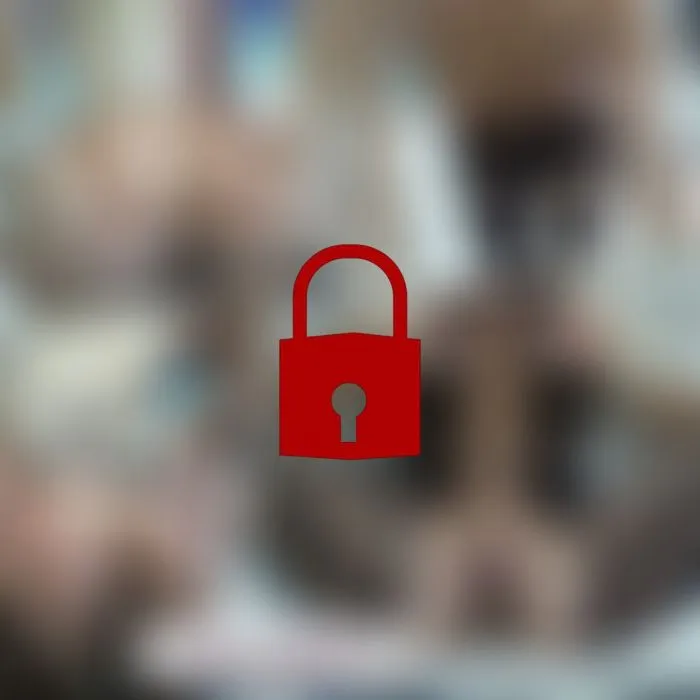 Netz - Body (ohne Ton)