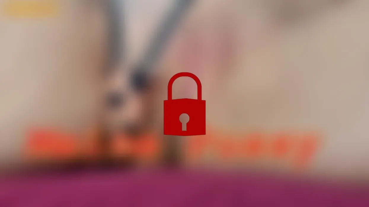 Meine Pussy / My Pussy