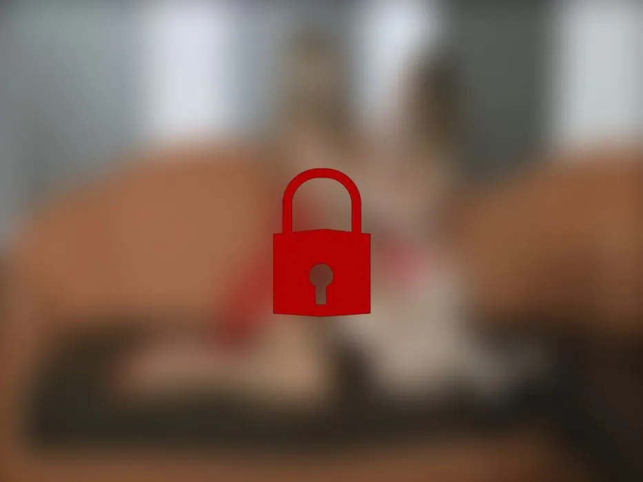 Toy-Test mit zwei Orgasmus Königinnen!