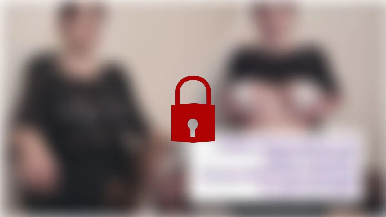 Online Besprechung mit Dozentin