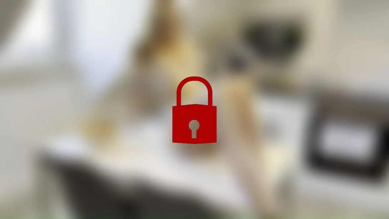 Endlich wieder ein Schwanz!!! Mit Plug gefickt und vollgespritzt!