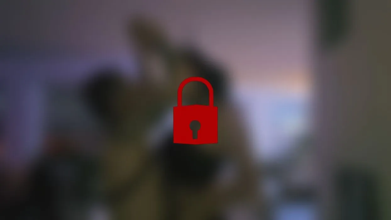 mal ein bdms Video gemacht 