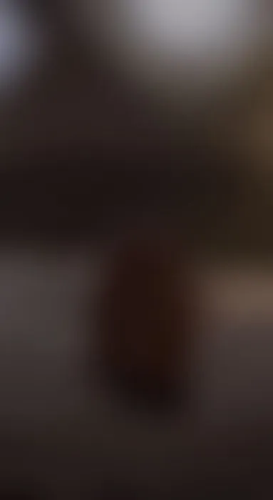 my HOT legs for you