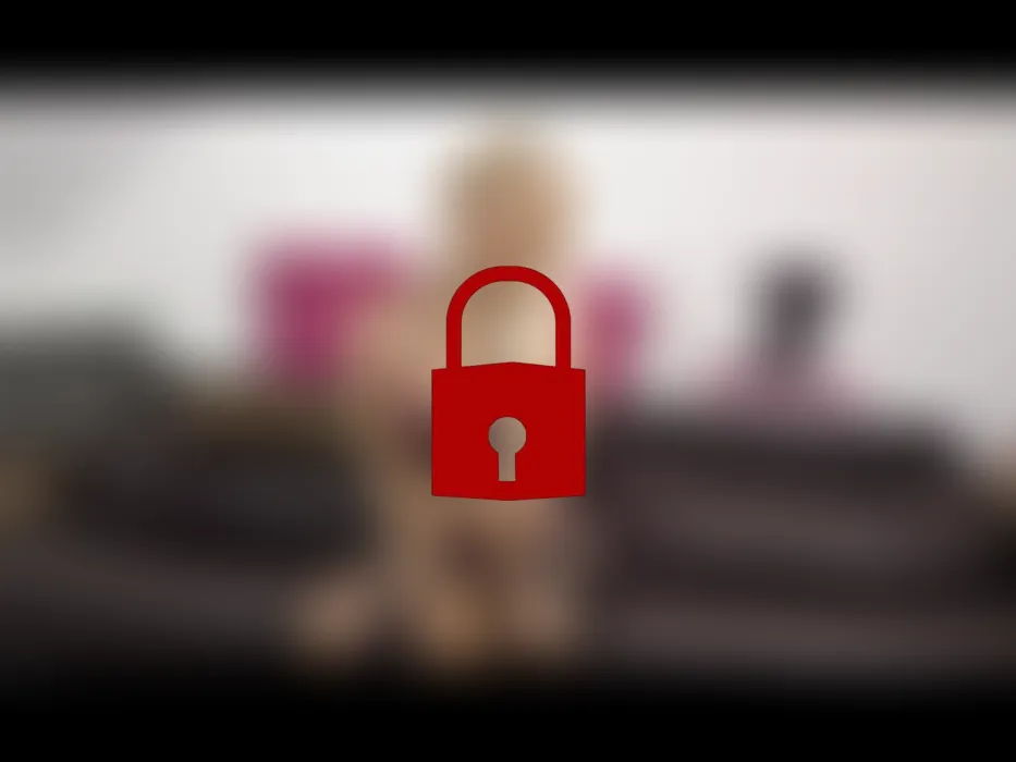 Versautes Dirtytalk in Dessous