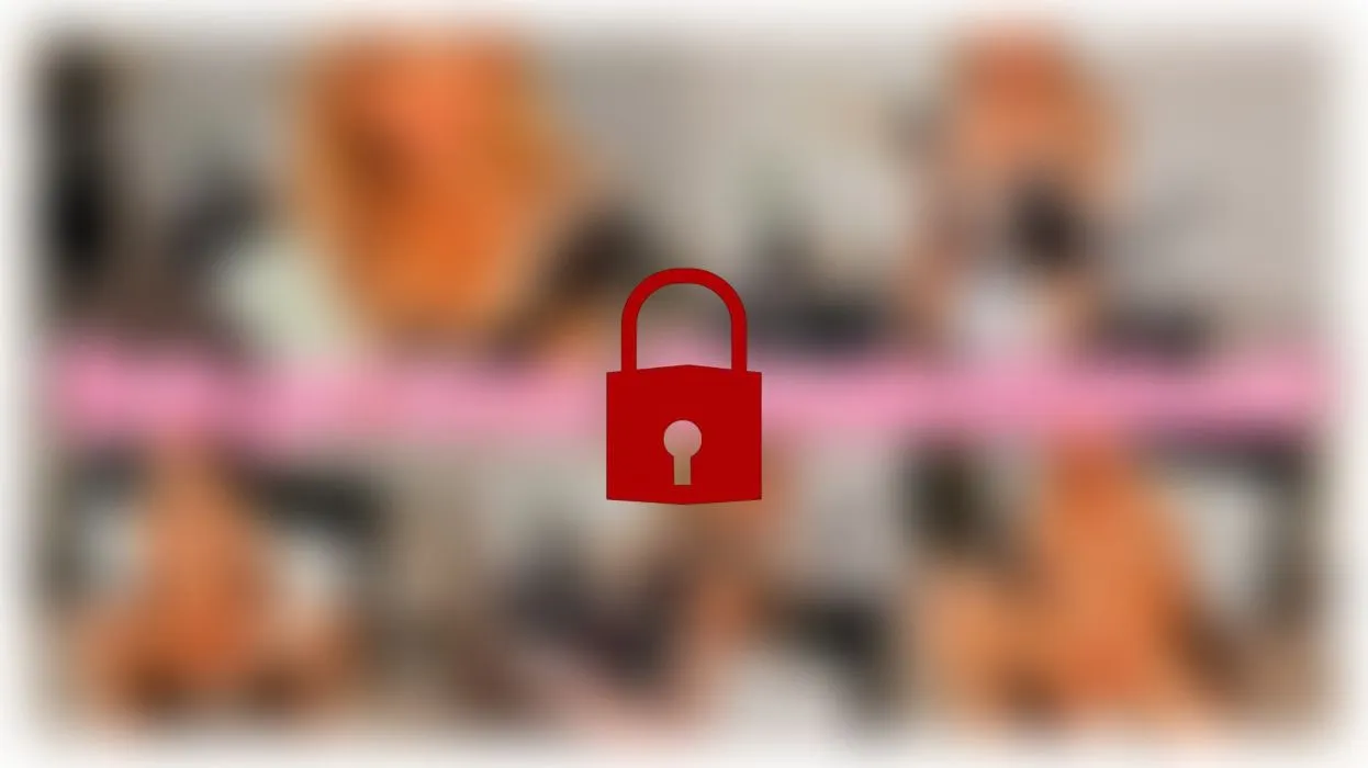 Dein perverses Dienstmädchen!!!