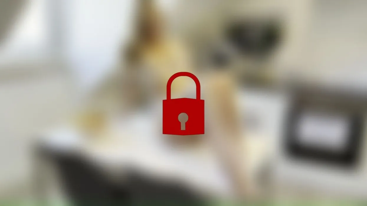 Endlich wieder ein Schwanz!!! Mit Plug im Arsch gefickt und vollgespritzt!