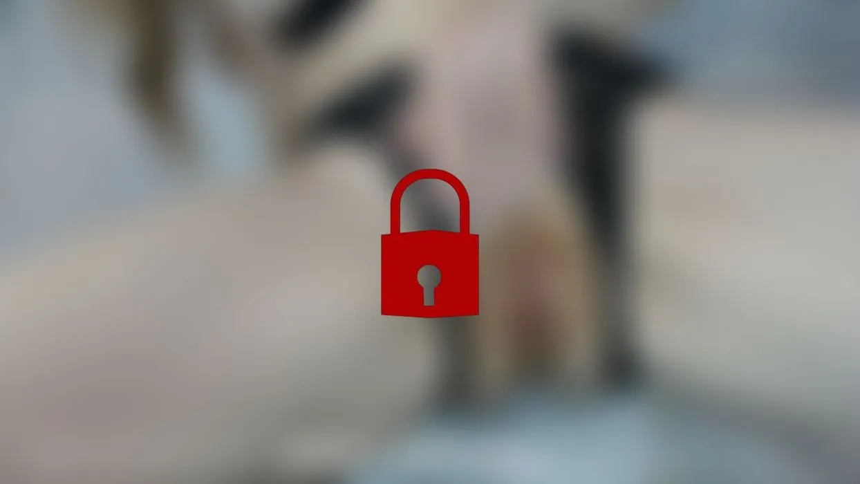 REDB.mp4