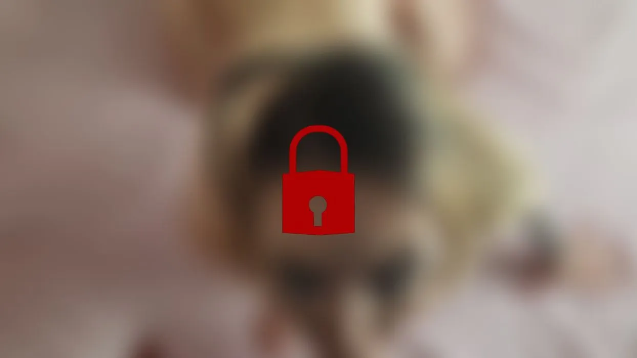Mit Dildo und Schwanz doppelt penetriert