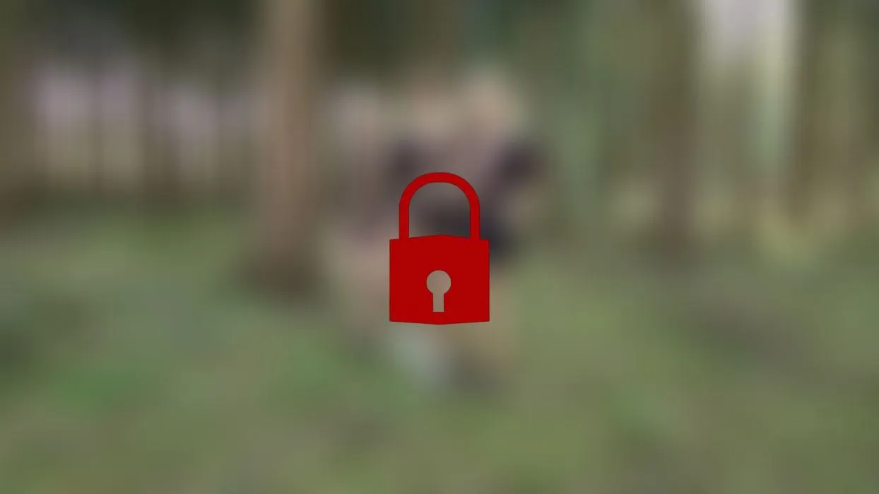 Verfickte Mädels - PUBLIC tief in die Fotzen