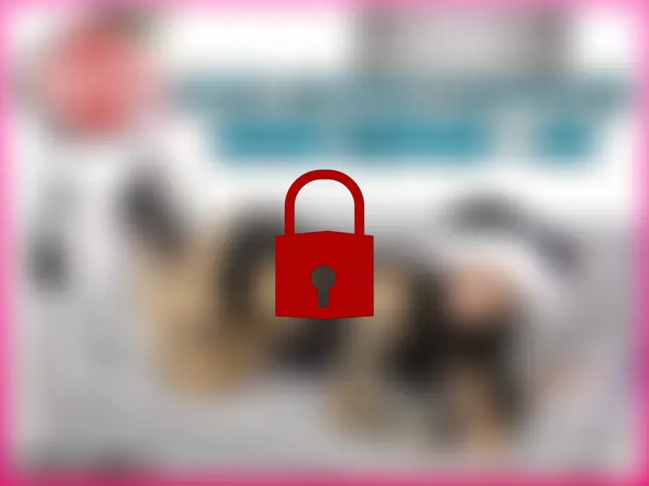 Mrs Clause schluckt deine Stange JOI