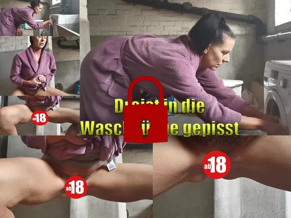 Dreist in die Waschküche gepisst